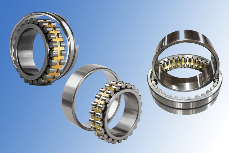 Double Row Cylindrical Roller Bearings