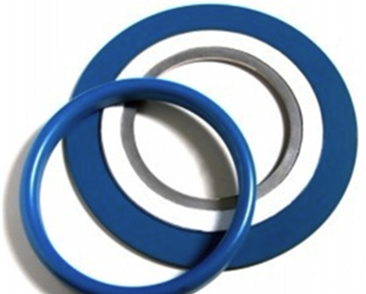 PTFE Coated Spiral Wound Gasket