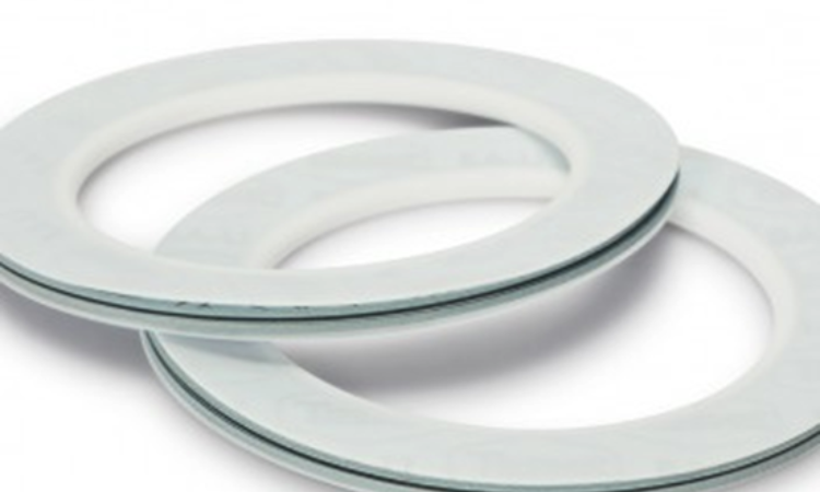 PTFE Envelope Gasket